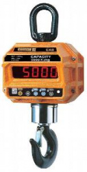 Весы крановые Cas 10 THD (10т/5кг) (Plus, Caston III) IP65 электронные