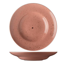 Тарелка для пасты 29СМ, серия Lifestyle, цвет Terracotta Lst1929 – купить в RuOborudovanie.ru с доставкой до двери Купить тарелка для пасты 29см, серия lifestyle, цвет terracotta lst1929 – цена от завода, доставка до двери | RuOborudovanie.ru
